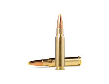 Norma .308Win PPDC, 11,7g/180gr