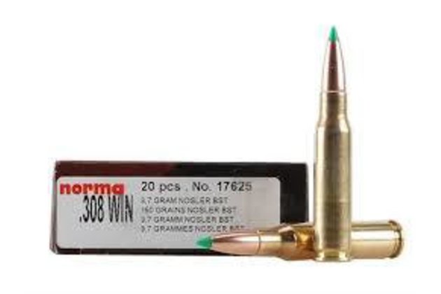 Norma .308Win Nosler PT, 180gr, No.17635