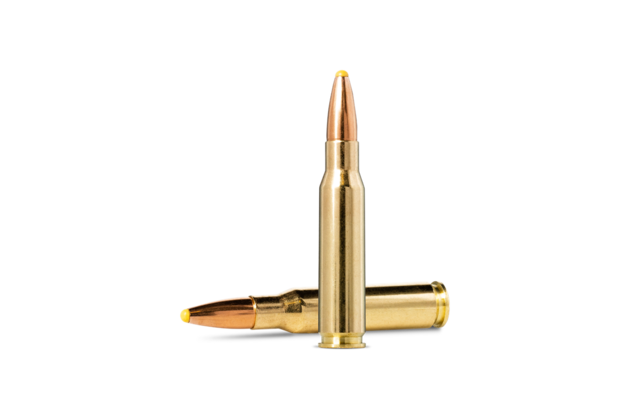 Norma .308Win PPDC, 11,7g/180gr